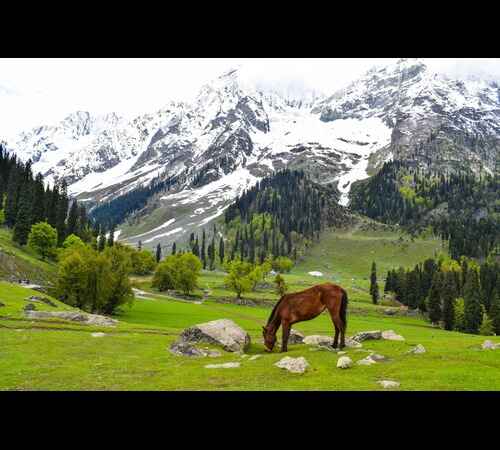 Magical Kashmir Retreat