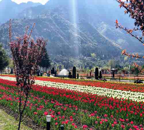 Kashmir Paradise Escape