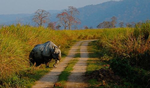 MESMERISING MEGHALAYA