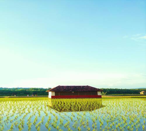 Kerala Coastal Delight