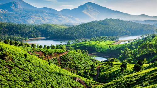 Mesmerizing Kerala